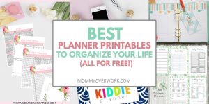 Best Free Planner Printables 2024 to ORGANIZE YOUR ENTIRE LIFE